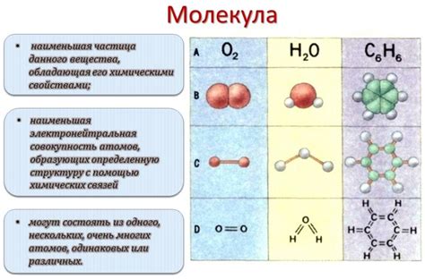 Структура молекулы и ее составные элементы