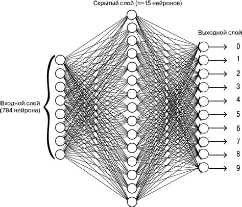 Структура нейронной сети и ее слои
