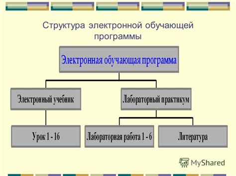 Структура обучающей программы в академии творческой прически