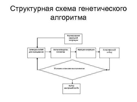 Структурная оптимизация алгоритма ВМК Кальтера