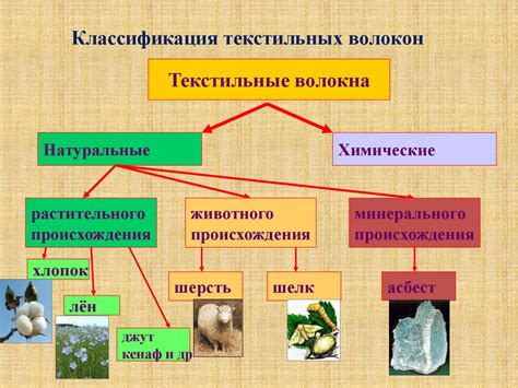 Сущность и главные свойства растительных тканей