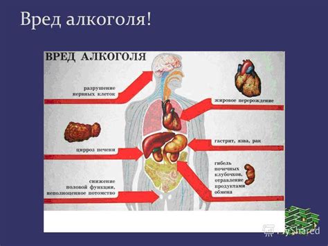 Сущность слабительного и его воздействия на организм человека