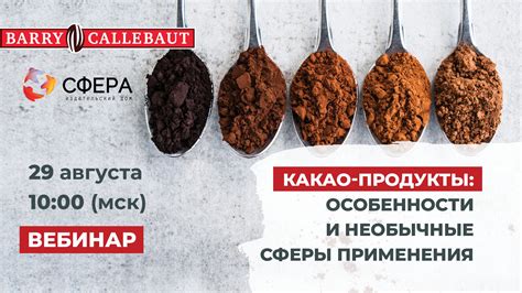 Сферы применения продуктов и сервисов Гит