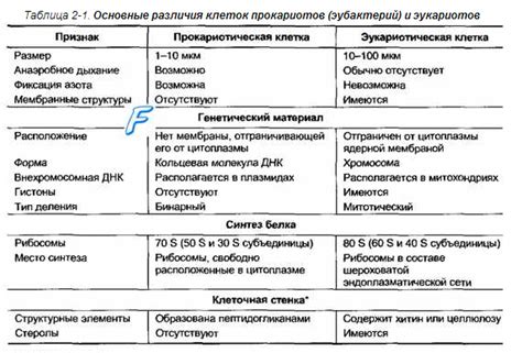 Сходства и различия глиатилина и актовегина