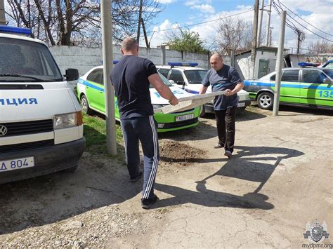 Тайна черного прелетающего птицы во внутреннем дворе: готовы к разгадке!