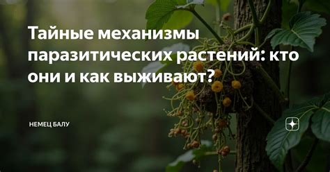 Тайные механизмы и принципат работы транспорта Человека-Летучей Мыши