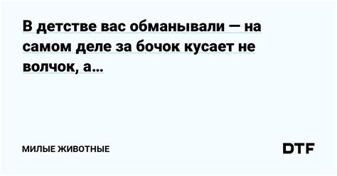 Тема 2: Психологический анализ снов, где вас кусает лиса