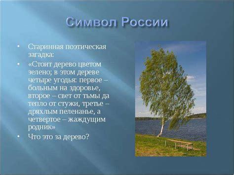 Тема 3: Значимость детского взгляда на окружающий мир