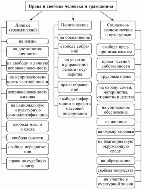 Тема 7: Права и свободы человека и гражданина в сфере образования и культуры