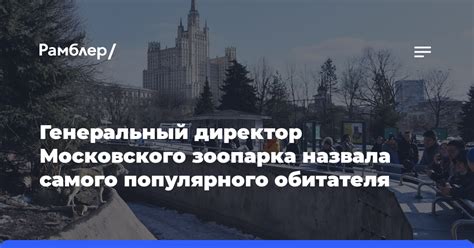 Теории о возможных причинах исчезновения популярного обитателя зоопарка