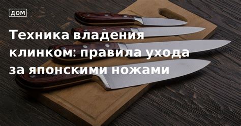 Техника мастерского владения двусторонним клинком