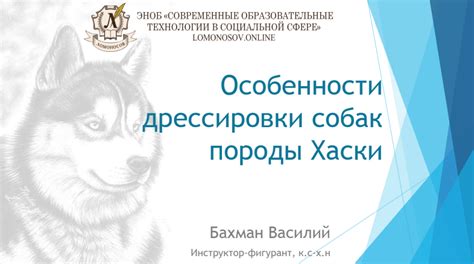 Техника охабни: применение ловушек, сетей и особенности дрессировки