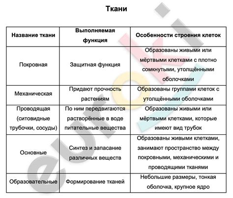 Типы специалистов и их основные обязанности