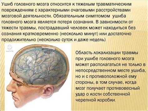 Травматические повреждения головного мозга: последствия и реабилитация