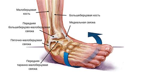 Традиционные способы излечения выступления на ноге после повреждения