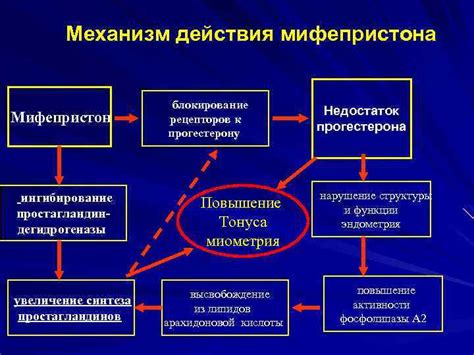 Увеличение выработки простагландинов