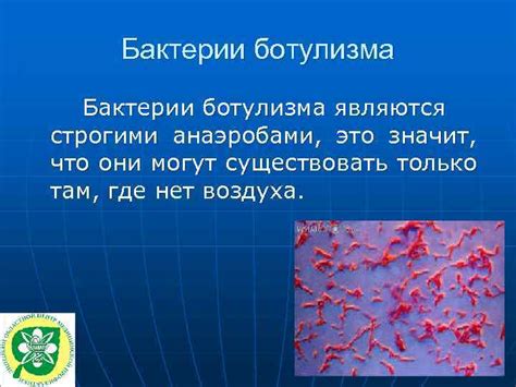 Угроза незримого врага: механизмы распространения бактерии ботулизма