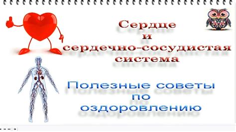 Укрепление сердечно-сосудистой системы: полезные советы и приемы