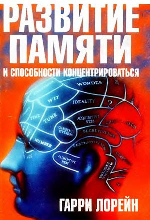 Улучшение когнитивных функций: развитие памяти и способности концентрироваться