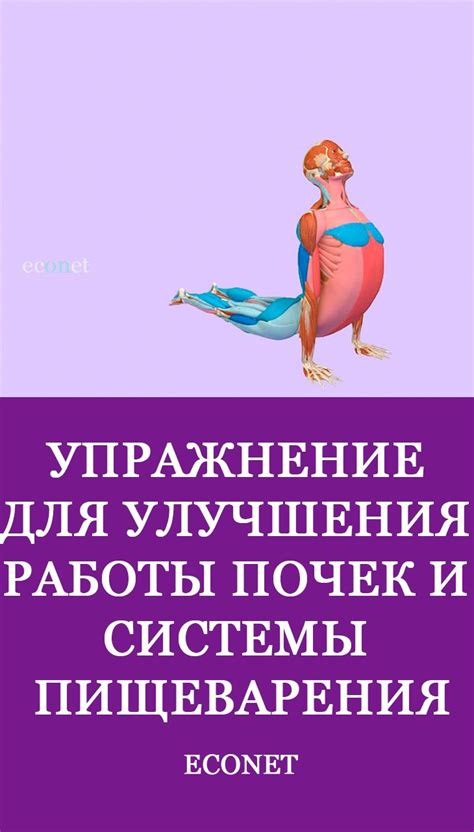 Улучшение работы пищеварительной системы и снятие дискомфорта в желудке