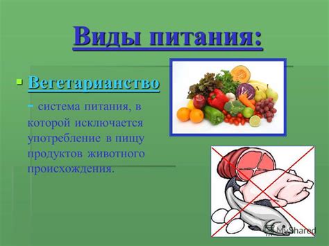 Умеренное употребление продуктов животного происхождения и поддержание баланса в рационе