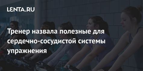 Упражнения для укрепления сердечно-сосудистой системы во время тренировок