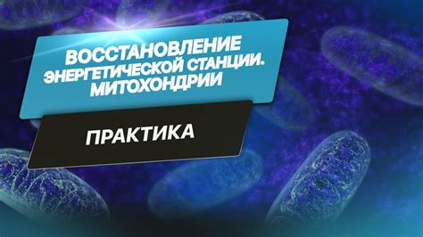 Установка генератора: ключевой компонент энергетической станции