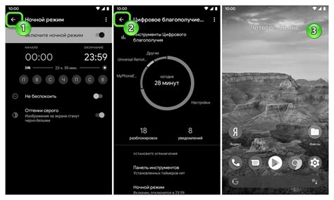 Установка черно-белого экрана на Android: шаг 3 - активация режима