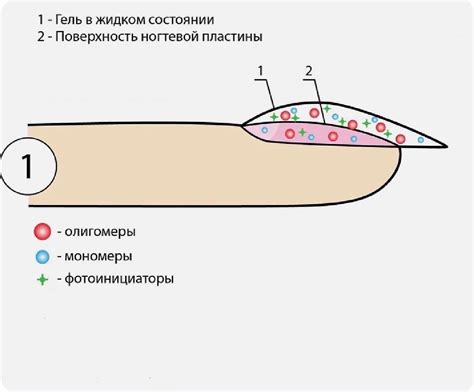 Файлинг и формирование ногтевой пластины