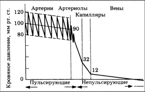 Факторы, обуславливающие повышенное артериальное давление у представительниц прекрасного пола