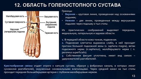 Факторы, способствующие возникновению отека в области голеностопного сустава