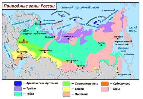 Физико-географические зоны России: особенности ландшафтов и природных ресурсов