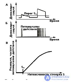 Физиологические механизмы восприятия сигналов дрожжевой буханки