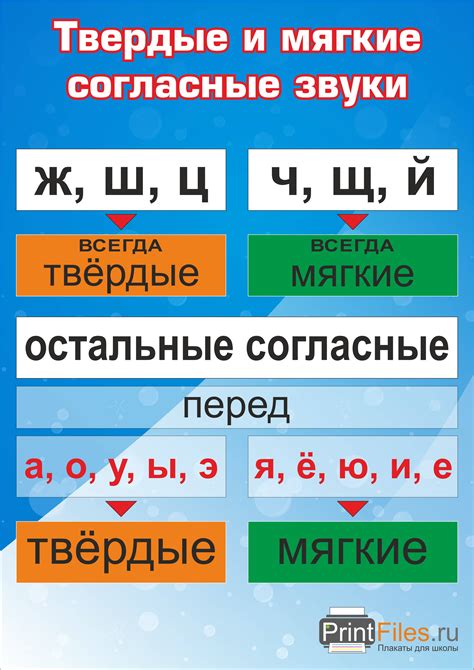 Физиологические особенности звуков: как различить мягкий и твердый звук