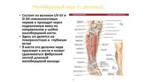 Физиотерапевтический подход к улучшению состояния при невропатии n peroneus sin аксонального типа