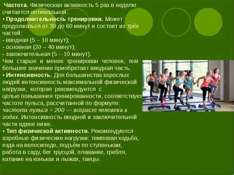 Физическая активность: оптимальная продолжительность и способы прогулок со спаниелем