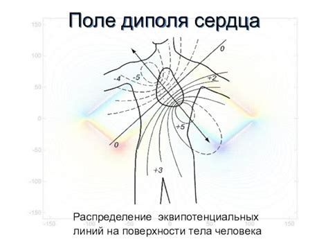 Физические проявления на поверхности тела