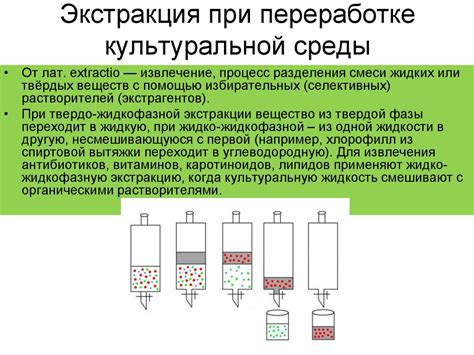 Фильтрация и выделение окончательного продукта после процесса приготовления ацетата свинца