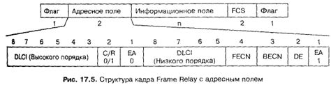 Формат и структура поля 101