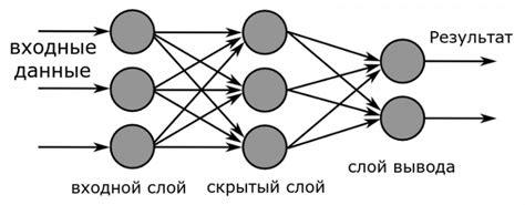 Формирование и передача электрических сигналов в нейронной сети