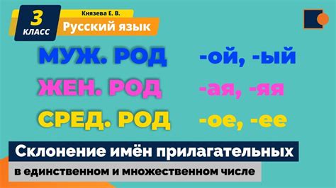 Формирование слов в единственном и множественном числе