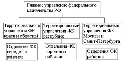 Функции и задачи федерального казначейства