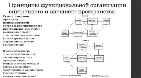 Функциональное назначение мюнцкабинета и его роль в организации рабочего пространства