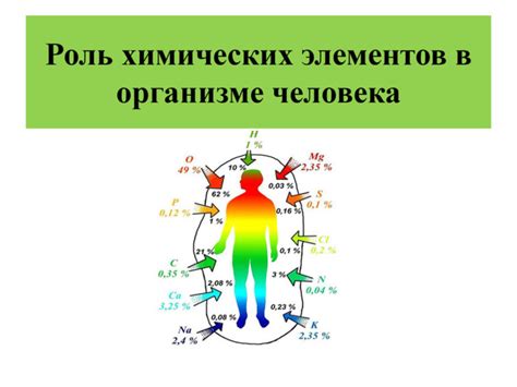 Химические процессы в организме: важность знаний в химии для будущего диетолога