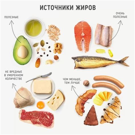 Холестерол и насыщенные жиры в мясе: основные опасности для организма и окружающей среды