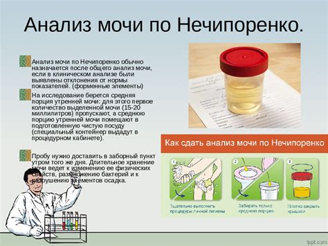 Цели проведения микробиологического исследования мочи у мужчин