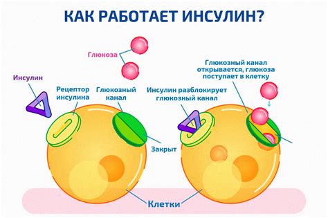 Цельнозерновые альтернативы для балансирования глюкозы после приема пищи