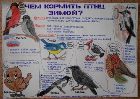 Чем опасно кормление птиц в зимнее время: продукты, которые могут нанести вред здоровью