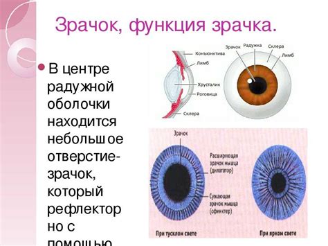 Что представляет собой михер и важность его быстрого удаления