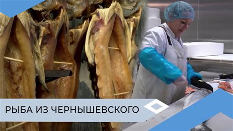 Шаги по созданию надежного механизма для соления свежей рыбы